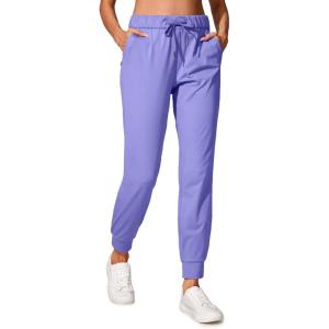 CRZ YOGA 4-Way Stretch Workout Joggers for Women 28″ – Casual Travel Athletic Pants with Pockets(Dark Lavender Purple)